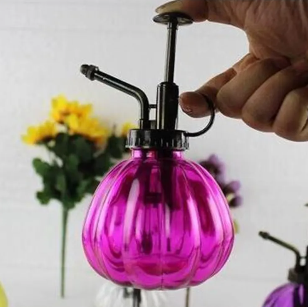 2-in-1 Glass Spray & Pour Watering Bottle — Plants Never Had It So Good