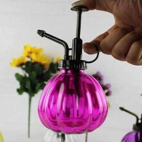 2-in-1 Glass Spray & Pour Watering Bottle — Plants Never Had It So Good
