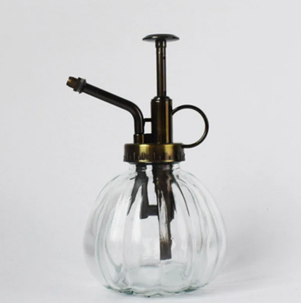 2-in-1 Glass Spray & Pour Watering Bottle — Plants Never Had It So Good