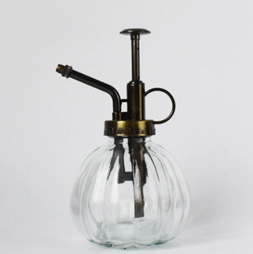 2-in-1 Glass Spray & Pour Watering Bottle — Plants Never Had It So Good