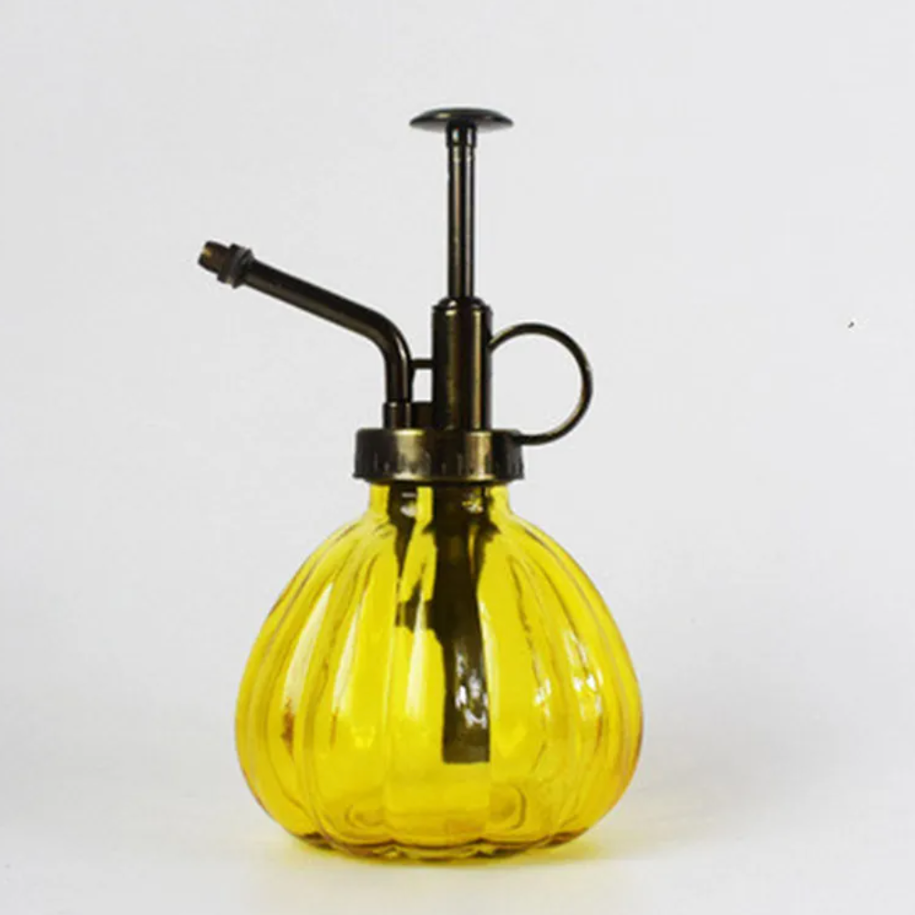 2-in-1 Glass Spray & Pour Watering Bottle — Plants Never Had It So Good