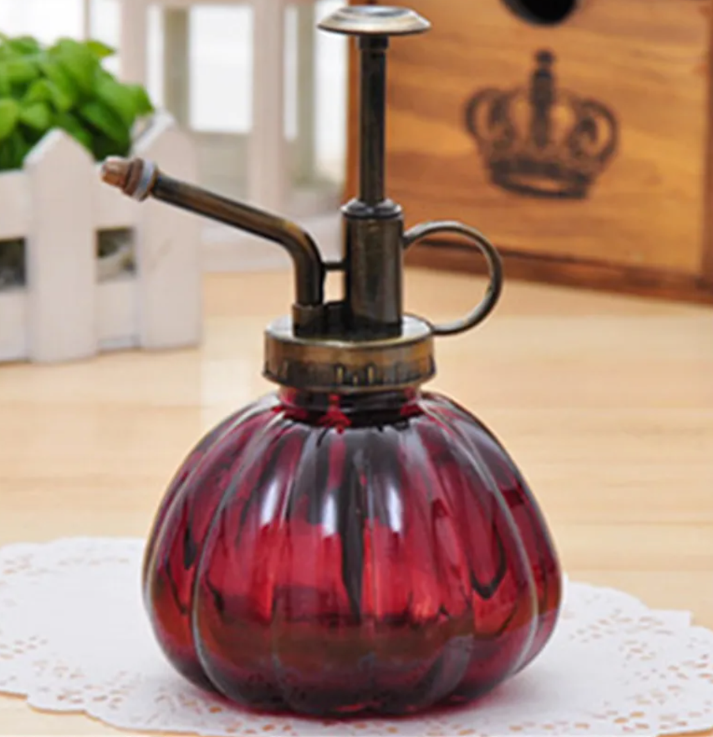 2-in-1 Glass Spray & Pour Watering Bottle — Plants Never Had It So Good