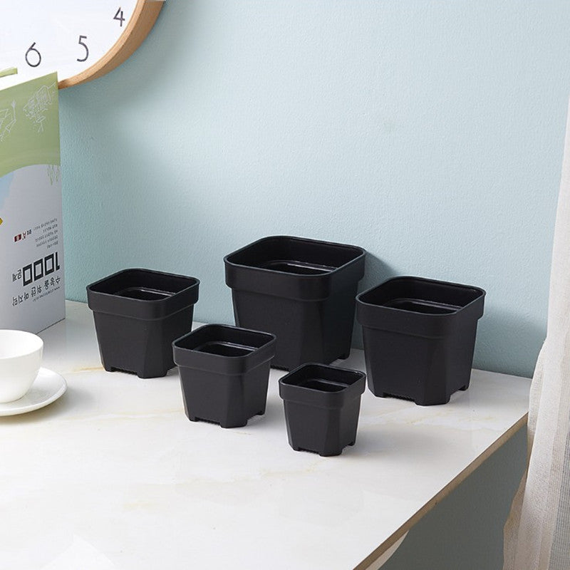 Thick Plastic Succulent Planter Pot - Square Design