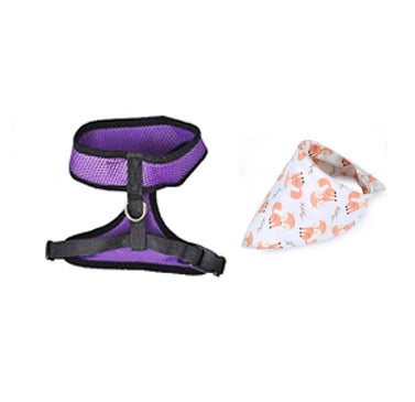 Triangle Scarf, Bib, Pet Harness, Mesh Dog Leash