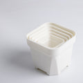 Thick Plastic Succulent Planter Pot - Square Design