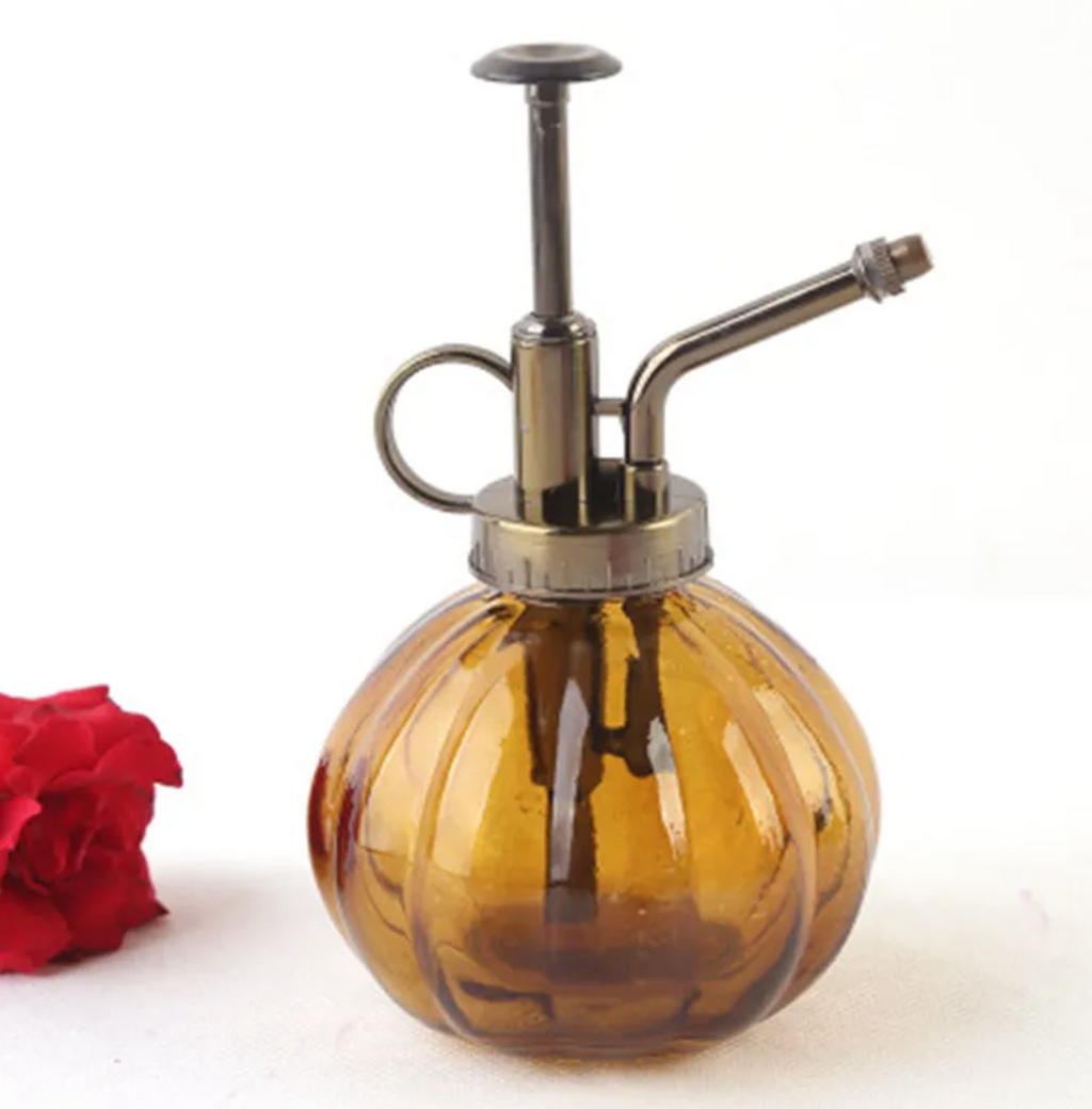 2-in-1 Glass Spray & Pour Watering Bottle — Plants Never Had It So Good