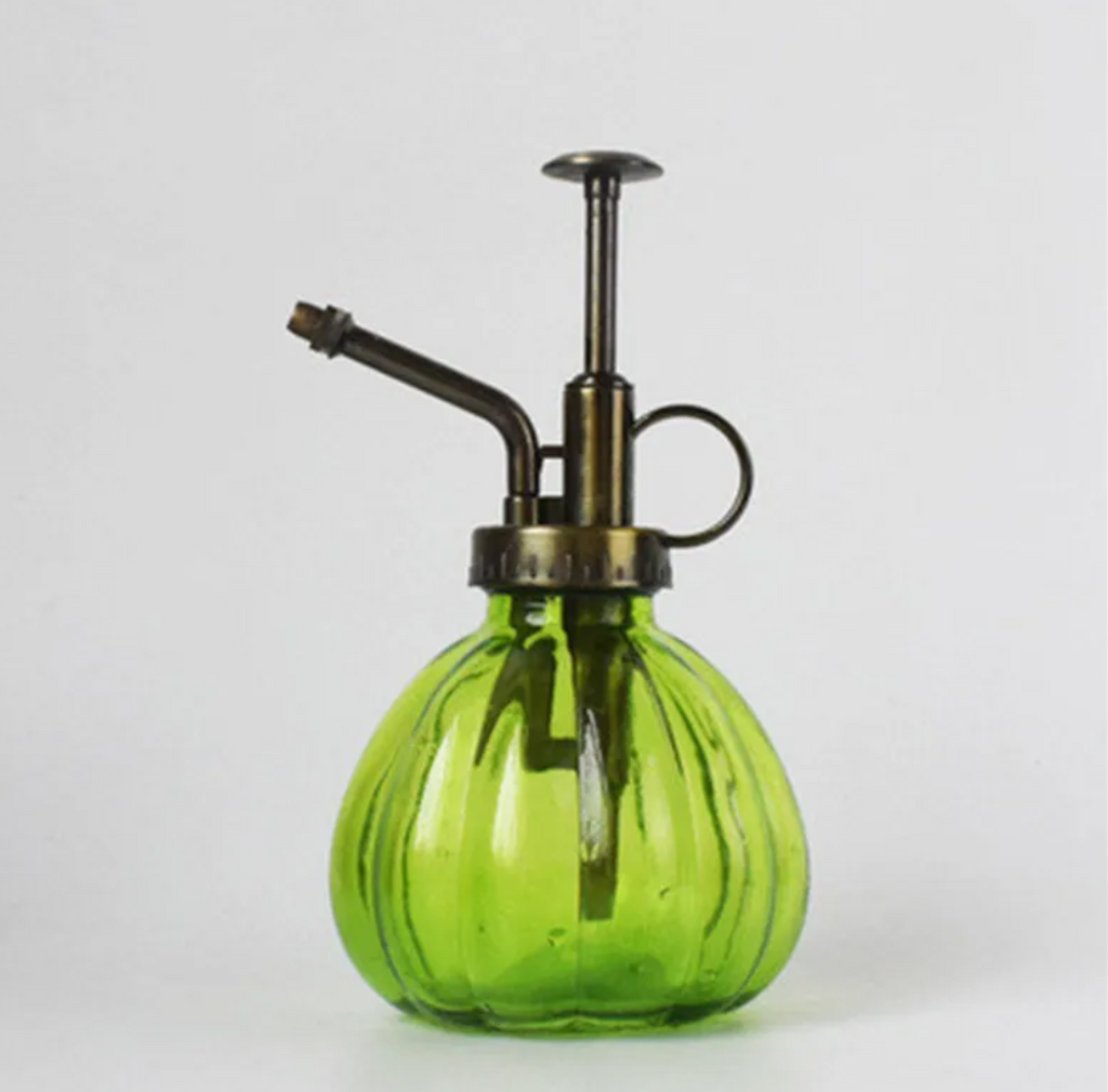2-in-1 Glass Spray & Pour Watering Bottle — Plants Never Had It So Good