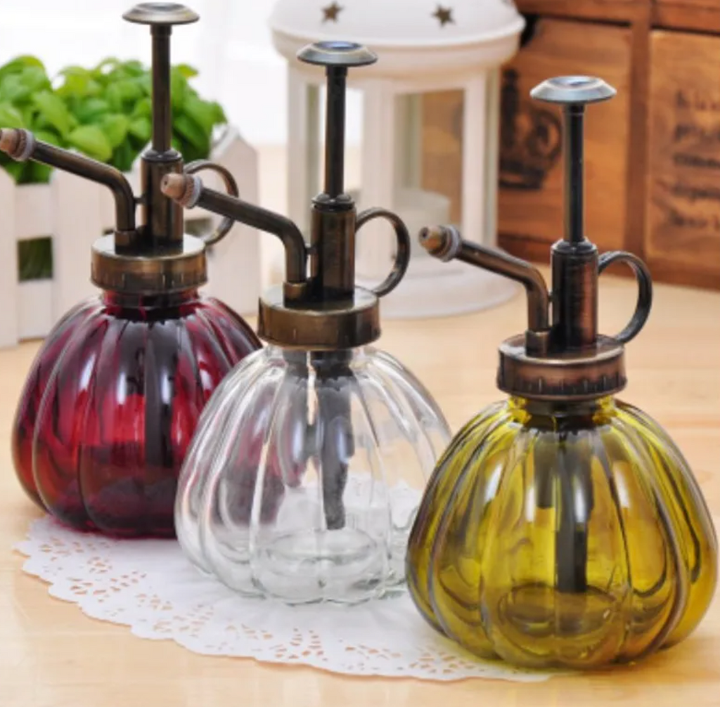 2-in-1 Glass Spray & Pour Watering Bottle — Plants Never Had It So Good