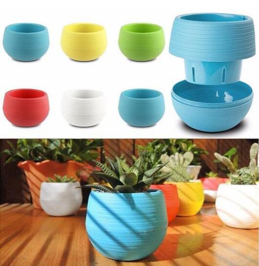 Creative Mini Succulent Plant Pot - Ishimaru Bowl