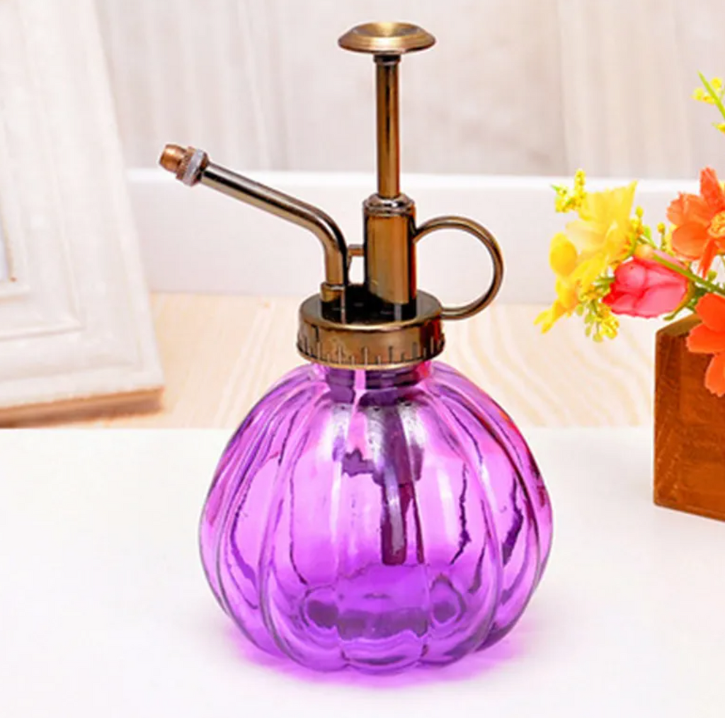 2-in-1 Glass Spray & Pour Watering Bottle — Plants Never Had It So Good