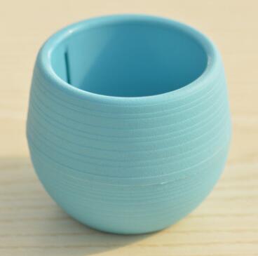 Creative Mini Succulent Plant Pot - Ishimaru Bowl