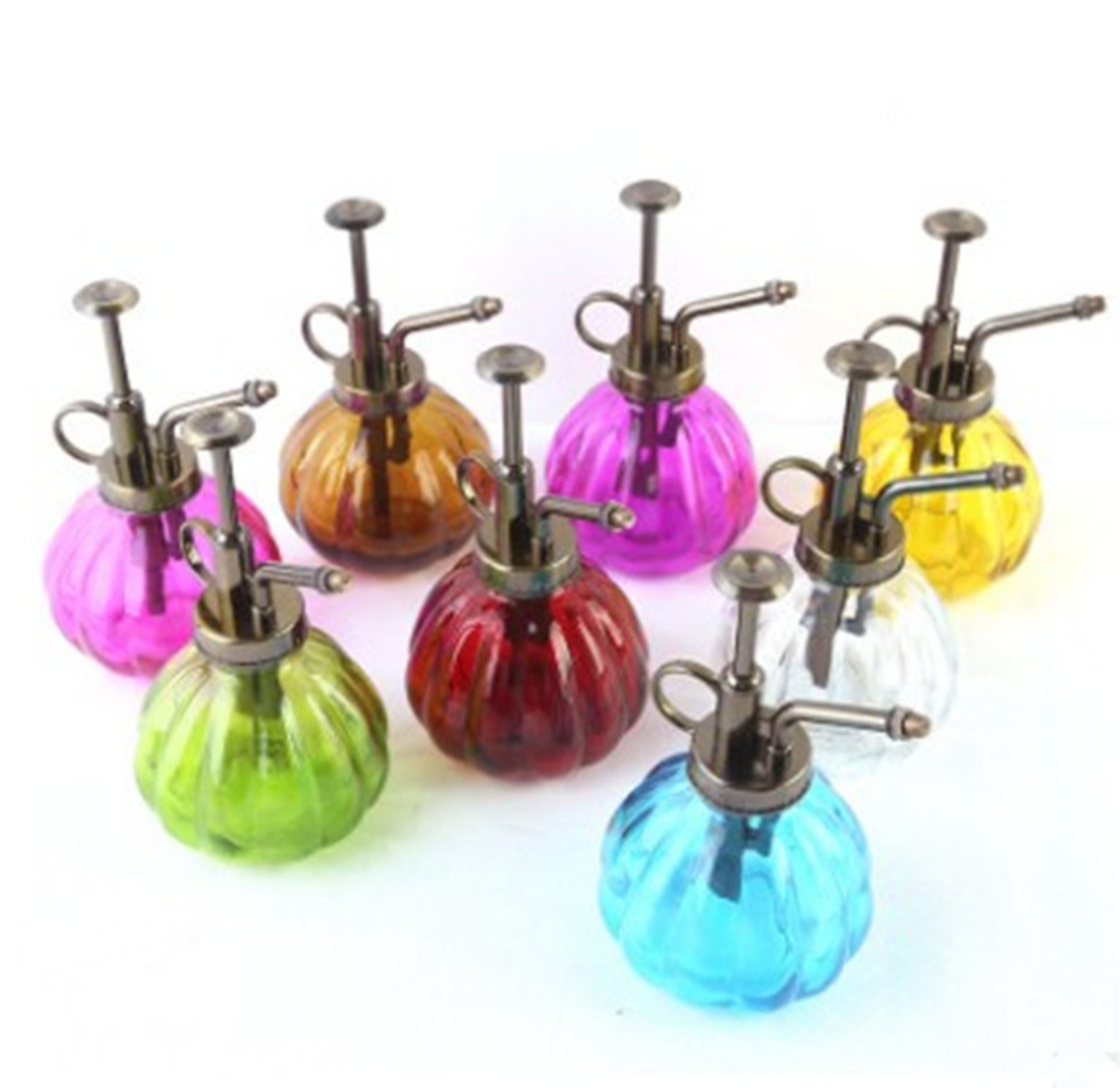 2-in-1 Glass Spray & Pour Watering Bottle — Plants Never Had It So Good