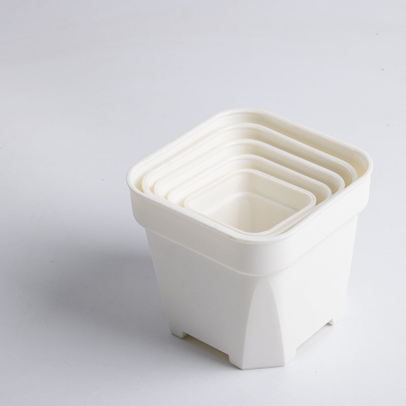 Thick Plastic Succulent Planter Pot - Square Design
