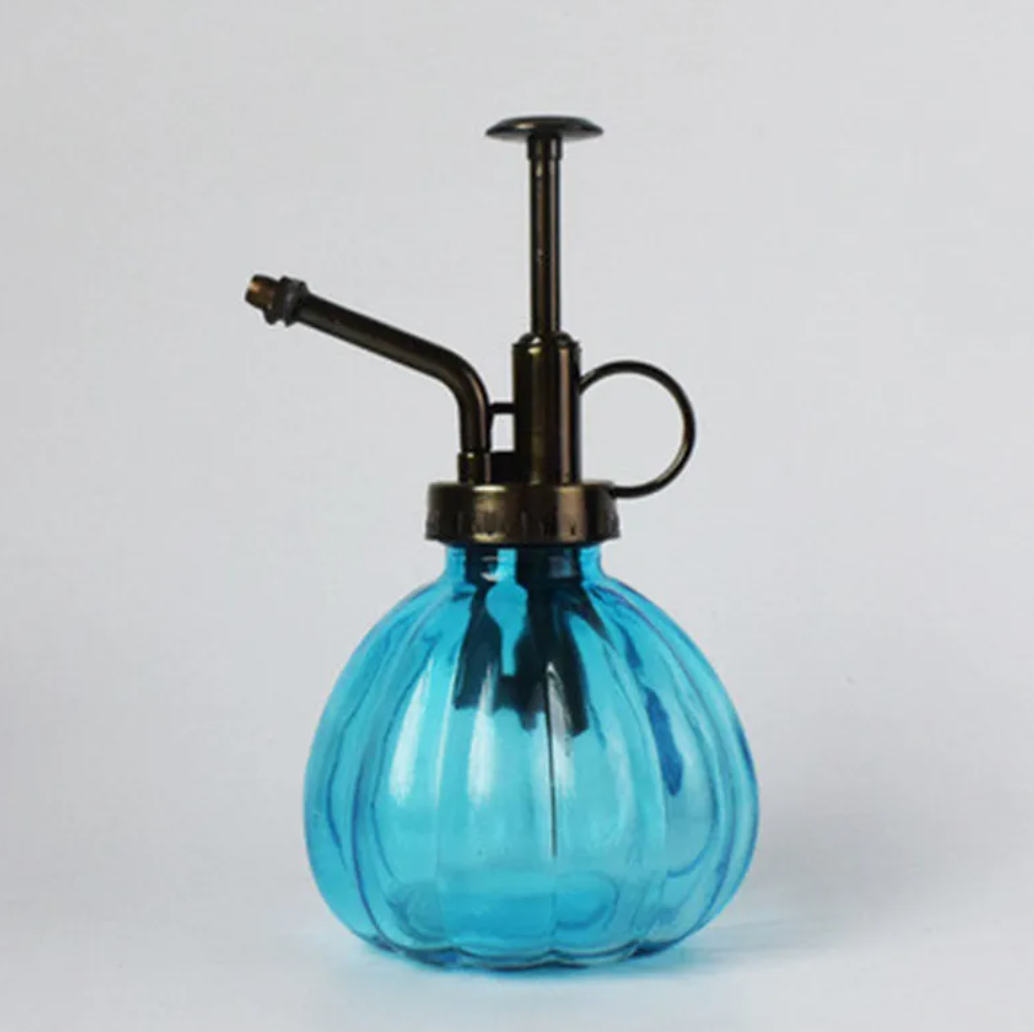 2-in-1 Glass Spray & Pour Watering Bottle — Plants Never Had It So Good