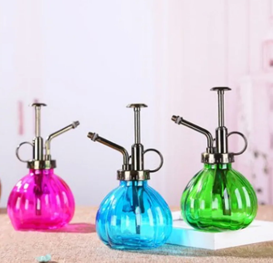 2-in-1 Glass Spray & Pour Watering Bottle — Plants Never Had It So Good